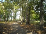 Bike about Ferrara